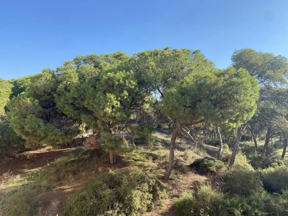 2-Bedroom, 2-Bathroom Luxury Ground Floor Apartment Near the Beach in Guardamar del Segura