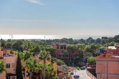 2 bedrooms, 2 bathrooms Penthouse in Villamartin thumb 3