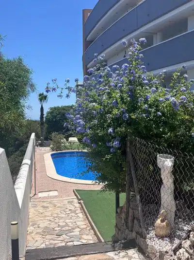 2 bedrooms, 2 bathrooms Apartment in Villamartin thumb 16