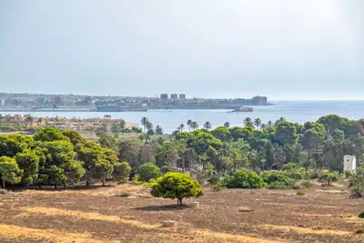 2 bedrooms, 1 bathrooms Penthouse in Punta Prima thumb 3