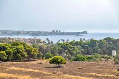 2 bedrooms, 2 bathrooms Apartment in Punta Prima thumb 6