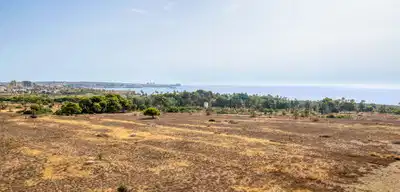 2 bedrooms, 2 bathrooms Apartment in Punta Prima thumb 5